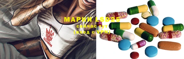 ГАЛЛЮЦИНОГЕННЫЕ ГРИБЫ Абдулино
