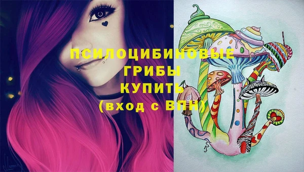 соль ск Алзамай